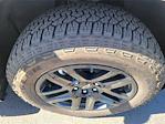 2025 Chevrolet Silverado 1500 Crew Cab 4WD Pickup for sale #SCL250246 - photo 24