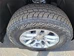 2025 Chevrolet Silverado 1500 Double Cab 4WD Pickup for sale #SCL250297 - photo 24