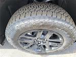 2025 Chevrolet Silverado 1500 Crew Cab 4WD Pickup for sale #SCL250312 - photo 24