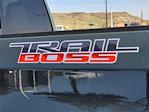 2025 Chevrolet Silverado 1500 Crew Cab 4WD Pickup for sale #SCL250329 - photo 24