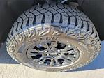 2025 Chevrolet Silverado 1500 Crew Cab 4WD Pickup for sale #SCL250334 - photo 25