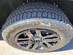 2025 Chevrolet Colorado Crew Cab 4WD Pickup for sale #SCL250359 - photo 23