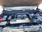 2025 Chevrolet Colorado Crew Cab 4WD Pickup for sale #SCL250418 - photo 24