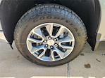 2025 Chevrolet Silverado 1500 Crew Cab 4WD Pickup for sale #SCL250419 - photo 25