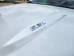 2024 Chevrolet Silverado 1500 Crew Cab 4WD Pickup for sale #SCL250516A - photo 28