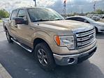 2013 Ford F-150 SuperCrew Cab 4x4 Pickup for sale #FA03349W - photo 2