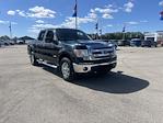 2014 Ford F-150 SuperCrew Cab 4WD Pickup for sale #KG44674T - photo 4