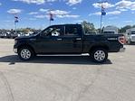 2014 Ford F-150 SuperCrew Cab 4WD Pickup for sale #KG44674T - photo 6