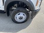 2025 Ford F-550 Regular Cab DRW 4x4 Cab Chassis for sale #SDA09289 - photo 19