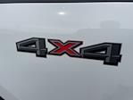 2025 Ford F-250 Regular Cab 4x4 Pickup for sale #SED28172 - photo 13
