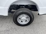 2025 Ford F-250 Regular Cab 4x4 Pickup for sale #SED28172 - photo 22