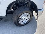 2025 Ford F-350 Crew Cab SRW 4x4 Pickup for sale #SED32845 - photo 24