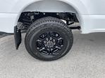 2025 Ford F-250 Crew Cab 4x4 Pickup for sale #SED39092 - photo 24