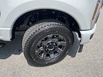 2025 Ford F-250 Crew Cab 4x4 Pickup for sale #SED62816 - photo 25