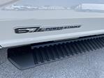2025 Ford F-250 Crew Cab 4x4 Pickup for sale #SED62816 - photo 9