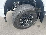 2025 Ford F-250 Crew Cab 4x4 Pickup for sale #SED74095 - photo 33