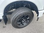 2025 Ford F-250 Crew Cab 4x4 Pickup for sale #SED74095 - photo 36