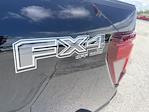 2025 Ford F-150 SuperCrew Cab 4x4 Pickup for sale #SFB12513 - photo 14