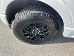 New 2025 Ford F-150 STX SuperCrew Cab 4WD Pickup for sale #SKF13815 - photo 19