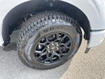 New 2025 Ford F-150 STX SuperCrew Cab 4WD Pickup for sale #SKF13815 - photo 22