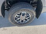 2025 Ford Ranger SuperCrew Cab 4WD Pickup for sale #SLE54412 - photo 18