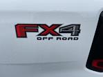 New 2025 Ford Ranger XLT SuperCrew Cab 4WD Pickup for sale #SLE62296 - photo 8