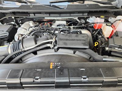 New 2024 Chevrolet LCF 4500HD - photo 1