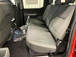 New 2025 Ford F-150 XLT SuperCrew Cab 4WD Pickup for sale #T25170 - photo 29