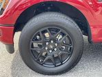 New 2025 Ford F-150 STX SuperCrew Cab 4WD Pickup for sale #T25342 - photo 25