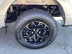 New 2025 Ford F-150 XLT SuperCrew Cab 4WD Pickup for sale #T25672 - photo 25