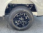 New 2025 Ford F-150 XLT SuperCrew Cab 4WD Pickup for sale #T25717 - photo 25