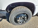 2024 Chevrolet Silverado 5500 Regular Cab DRW RWD Cab Chassis for sale #R562 - photo 51