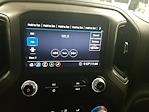 2020 GMC Sierra 1500 Crew Cab 4WD Pickup for sale #S5362 - photo 9