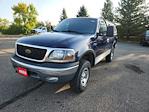 2002 Ford F-150 Regular Cab 4WD Pickup for sale #T0952 - photo 1