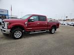 2019 Ford F-250 Crew Cab 4WD Pickup for sale #T1722 - photo 4