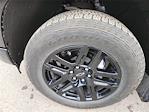 2024 Chevrolet Silverado 1500 Crew Cab 4WD Pickup for sale #T3162 - photo 33