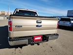2013 Ford F-150 SuperCrew Cab 4WD Pickup for sale #T3372 - photo 7