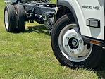New 2024 Chevrolet LCF 4500HG Regular Cab Cab Chassis for sale #C24-534 - photo 4