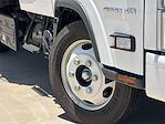 New 2024 Chevrolet LCF 4500XD Crew Cab 12' Wil-Ro Stake Bed for sale #C24-716 - photo 5