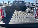 2024 Ford F-350 Crew Cab DRW 4WD Pickup for sale #TEF63263 - photo 9