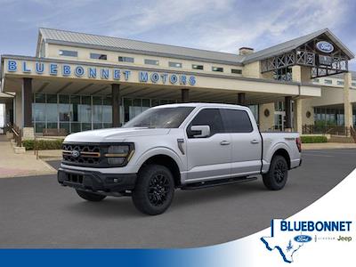 New 2025 Ford F-150 - photo 1