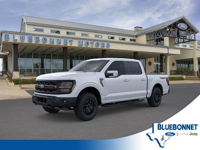 New 2025 Ford F-150 - photo 1