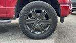 2022 Ford F-150 SuperCrew Cab 4WD Pickup for sale #4NKE69297 - photo 32