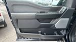 2024 Ford F-150 SuperCrew Cab 4WD Pickup for sale #7RFB68906 - photo 12