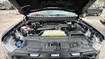 2024 Ford F-150 SuperCrew Cab 4WD Pickup for sale #7RFB68906 - photo 34