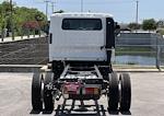 2025 Chevrolet LCF 5500XG Crew Cab RWD Cab Chassis for sale #250058 - photo 4