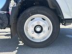 2025 Chevrolet LCF 5500XG Regular Cab RWD Cab Chassis for sale #250095 - photo 11