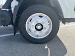 2025 Chevrolet LCF 5500XG Regular Cab RWD Cab Chassis for sale #250202 - photo 9