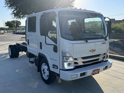 2025 Chevrolet LCF 5500XG Crew Cab RWD Cab Chassis for sale #250338 - photo 1