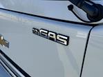 2025 Chevrolet LCF 5500XG Crew Cab RWD Cab Chassis for sale #250338 - photo 5